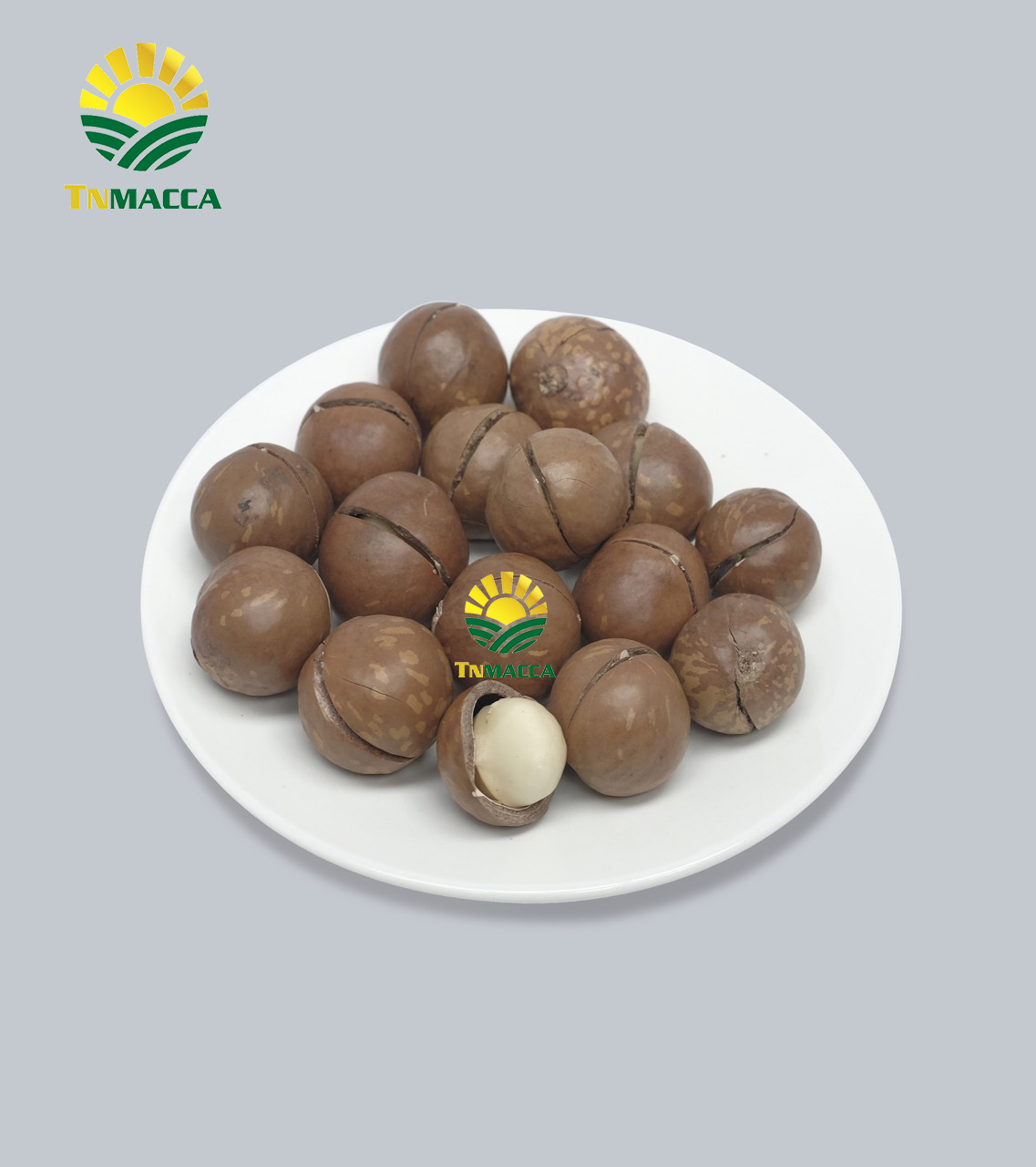 Macca sấy nứt size 19-21 mm Hộp 500g Thùng Sỉ 10 Kg